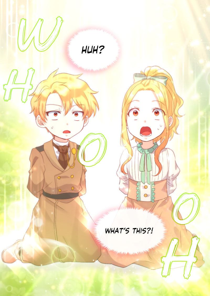 The Twin Siblings