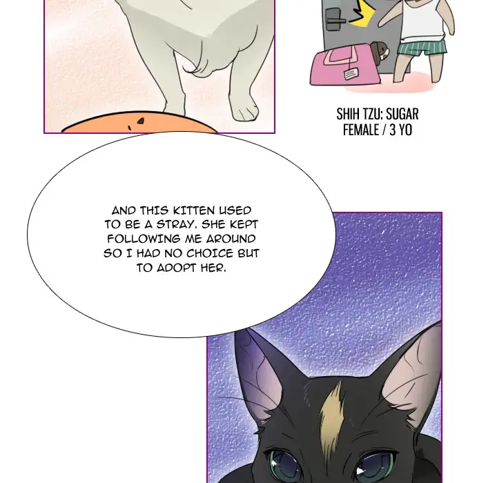 Sugar 