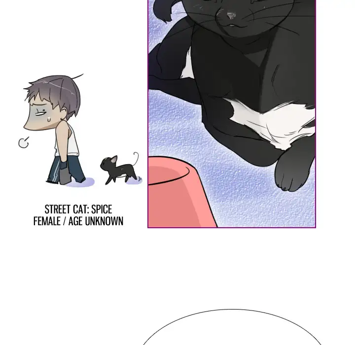 Sugar 